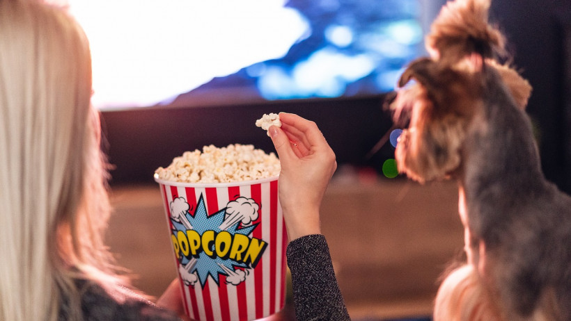 Rang 9: Fernseher mit 4,2 Prozent