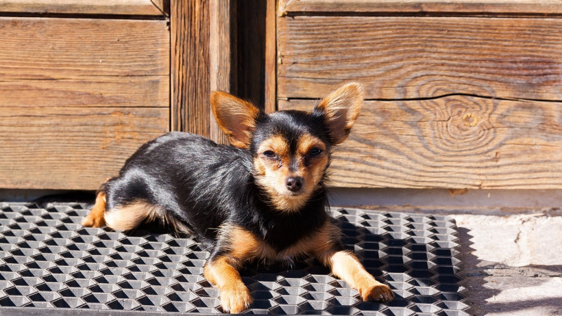 Rang 2: Türen mit 8,9 Prozent aller Schadenmeldungen