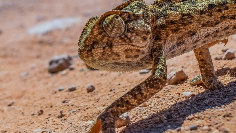 Anpassungsmöglichkeiten statt Kündigung: