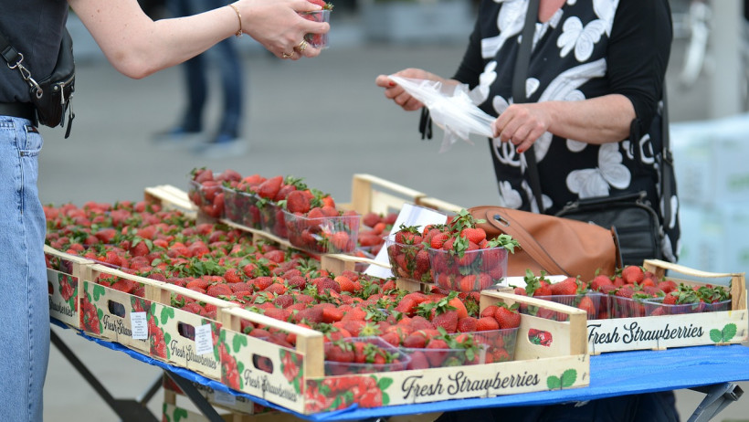 Kleinstunternehmen: Der Handel als Basis der Wirtschaft