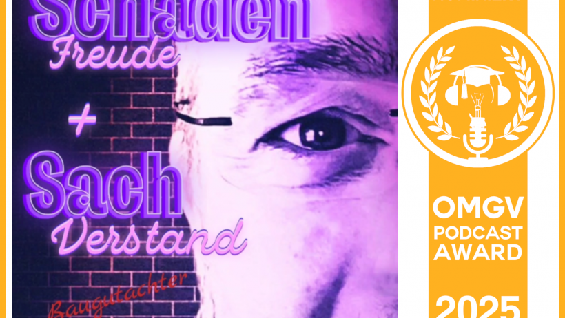 Schadenfreunde & Sachverstand von Stefan Lang