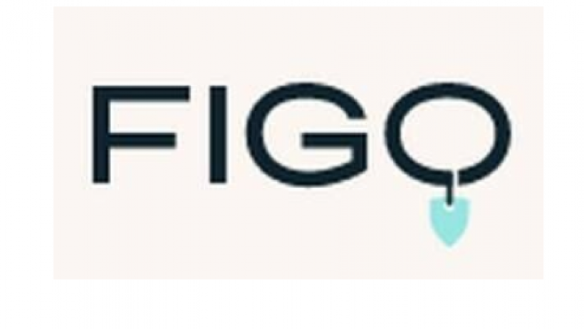 Rang 2: FIGO (Sehr Hohe Vertragstransparenz – Silber)