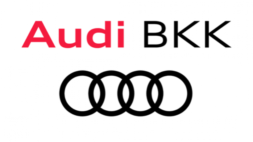 Rang 6 – Audi BKK: 95,1 Punkte (Sieger)