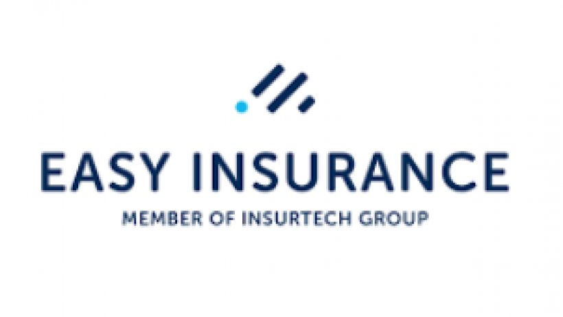 Rang 6 – Easy Insurance: 80,8 Punkte (Silber-Rang, Platz 346 im Gesamtranking)