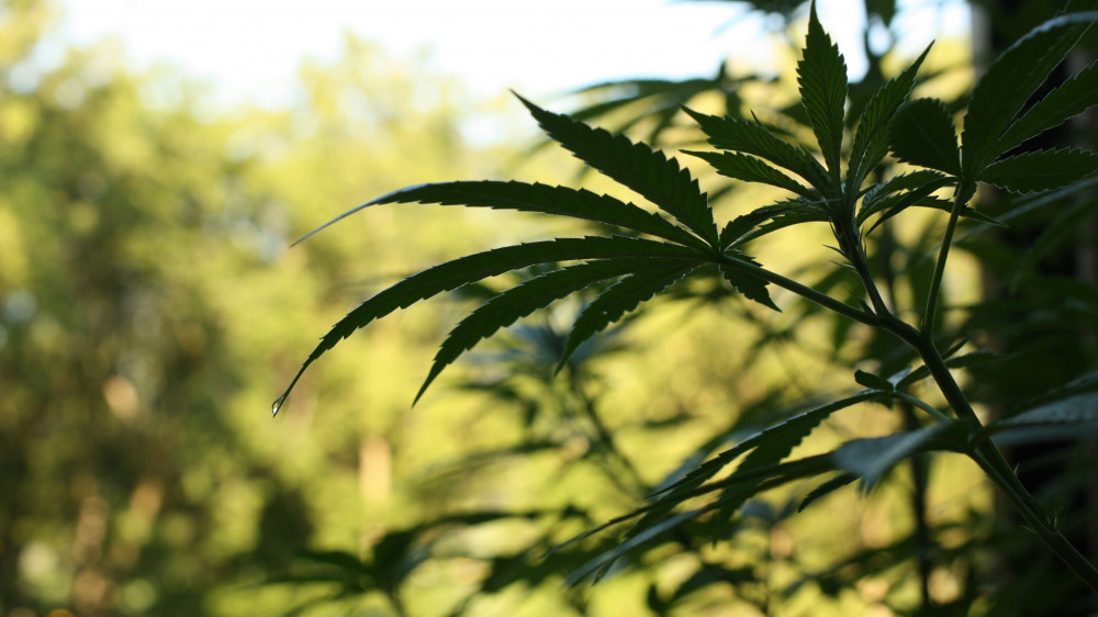 Ein umfassender Überblick zur Kostenübernahme durch Krankenversicherungen und Auswirkungen auf weitere Versicherungen.