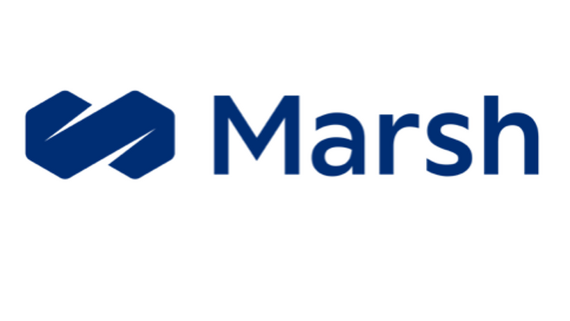 Rang 5: Marsh (94,5 Punkte / Sieger)