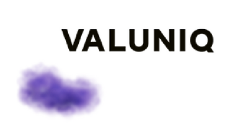 Rang 3: VALUNIQ (55,6 Prozent / Gold)