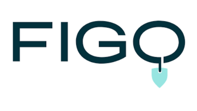 Rang 1: FIGO (62,6 Prozent Zustimmung)