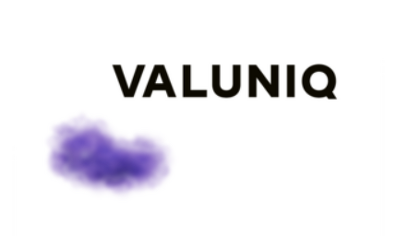 Rang 4: VALUNIQ (2,55 / Sehr hoher Kundennutzen)