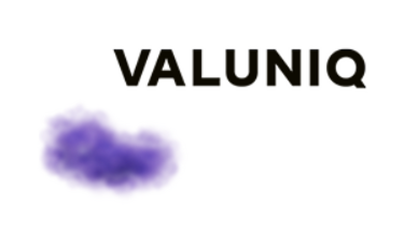 Rang 4: VALUNIQ (2,88 / Beste Dienstleister)
